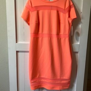 Neon dress with sheer detail